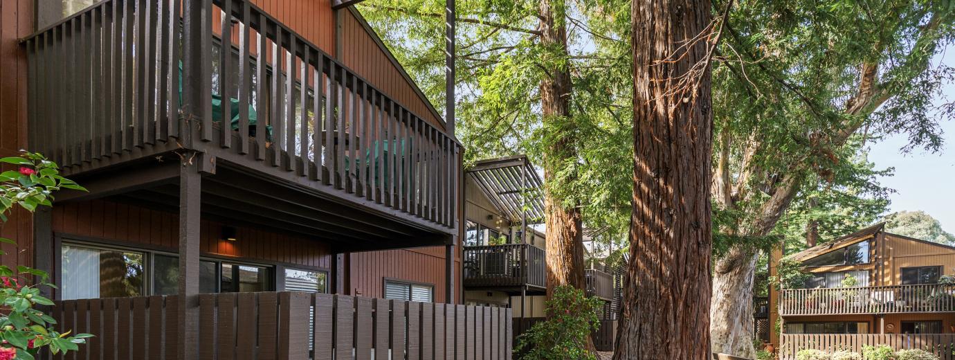 Exterior Patio and Common Area