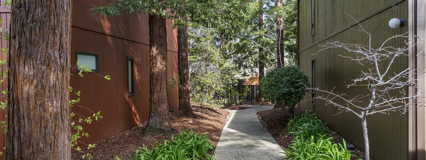 Common Area, Pathway to Pool