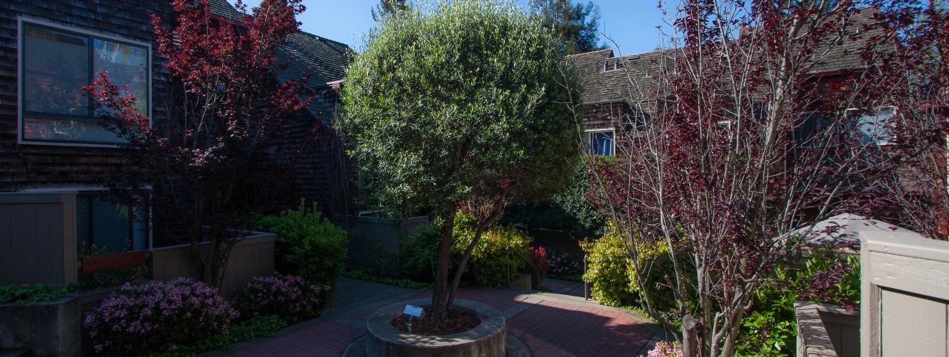 Stanford Rental Homes image