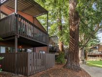 Exterior Patio and Common Area