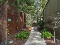 Common Area, Pathway to Pool